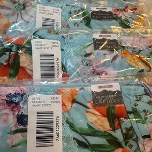 Lane Bryant Floral Mid-Waist Cheeky Panties